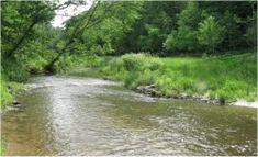 Franklin Stream