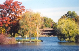 Island on a lake