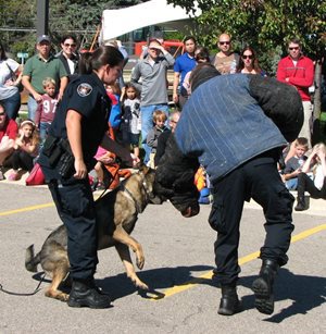 K9 Demonstration