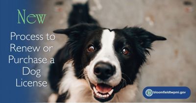 New Process to Renew or Purchase Dog Licenses Begins December 18, 2025