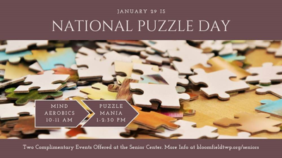 National Puzzle Day 2024