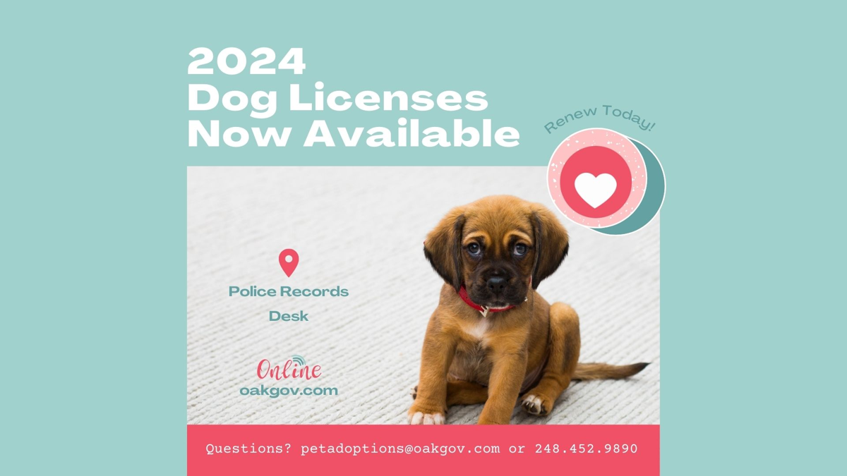 Featured image of 2024 Dog Licenses Now Available