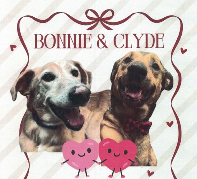 Bonnie and Clyde
